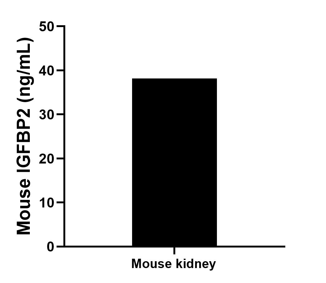 One mouse kidney was cultured for 18 hours in RPMI 1640 supplemented with 10% fetal bovine serum, 50 μM β-mercaptoethanol, 2 mM L-glutamine, and 100 μg/mL of streptomycin sulfate. The cells were stimulated with 10 μg/mL of PHA and 10 ng/mL of PMA. An aliquot of the cell culture supernatant was removed, assayed for mouse IGFBP2 and measured 38.18 ng/mL.